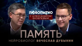 Человеческая память. Как она устроена? Как тренировать память? – Вячеслав Дубынин