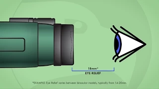 Understanding Binoculars: Eye Relief