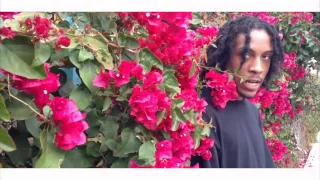 Chris Travis - Red Roses [Offical Video]