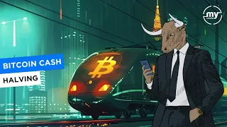 Bitcoin Cash y su halving | Largoplacistas BTC a nivel onchain