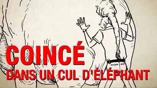 NE PANIQUEZ PAS : Comment survivre quand votre tête est coincée dans le cul d'un éléphant