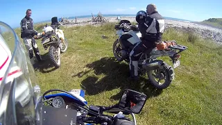 Dunedin  Allans Beach, Cape Saunders