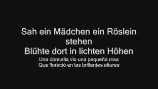 Rammstein - Rosenrot  [Letra (Lyrics) Alemán (German) & Español (Spanish)]