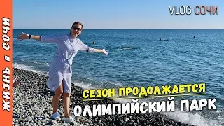 Полные пляжи в Олимпийском Парке? Погода осенью в Сочи. Отдых в Сочи. Влог Сочи.