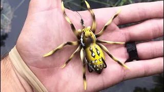 The SPIDER LURE catches FISH! (UNBELIEVABLE)