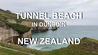 Tunnel Beach | Blackhead | 4K | Dunedin | Otago | South Island | New Zealand