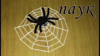 Last Minute Spider Decoration for Halloween