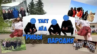 5 ШКОЛЬНЫХ ПАРОДИЙ НА ГРИБЫ - ТАЕТ ЛЁД! ПАРОДИИ! ВЫПУСКНЫЕ КЛИПЫ!