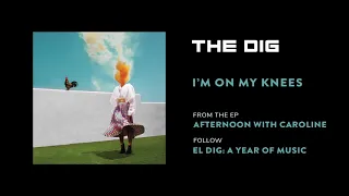 The Dig - I'm On My Knees [Official Audio]