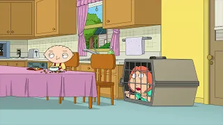 Family Guy Season 12 Ep. 5 - Family Guy Full Episode Nocuts #1080p