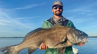 How 2 Tuesday - Black Drum Fishing 101