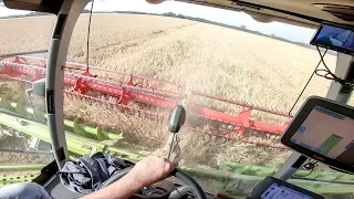 🇫🇷 [CabView] HARVEST 2019 !! Draper 12m 😍 CLAAS Convio + Lexion 770