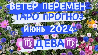 ♍️ДЕВА♍️  ВЕТЕР ПЕРЕМЕН. ИЮНЬ 2024. ТАРО ПРОГНОЗ