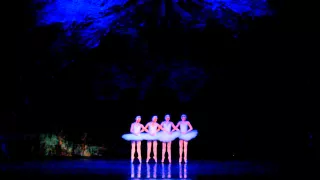 P.I.Tchaikovsky - Swan Lake ballet