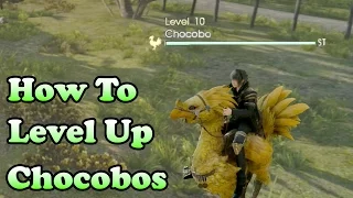 How To Level Up Your Chocobo (Final Fantasy XV Guide)