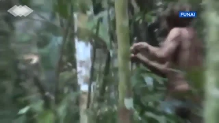 Brazil releases footage of Indian alone in jungle for decades