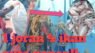 Pesta strike kapmer bantal! || Mancing Dasran Di Laut Dengan 6 Mata Kail..!!??