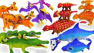 Dino Mecard Double figure 11 set appeared with giant dinosaur and tiny dinosaur! - DuDuPopTOY