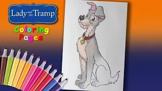 Lady and the Tramp Speed Coloring for Kids. How to Coloring Tramp