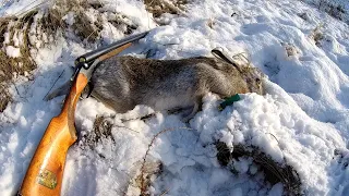 Пять выстрелов по одному зайцу. Классика-это просто! Охота на зайца троплением по следу.