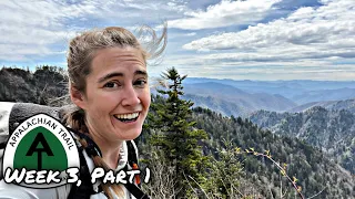 Entering the SMOKIES! [& Obsessing Over Food] on the Appalachian Trail!