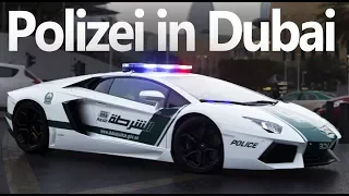 10 kuriose Fakten über Dubai | Wahr oder falsch!?