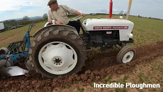 1969 David Brown 880 Selectamatic 2.7 Litre 3-Cyl Diesel Tractor (46 HP) in Herefordshire