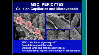 Cell Therapy by Hillard Lazarus, MD