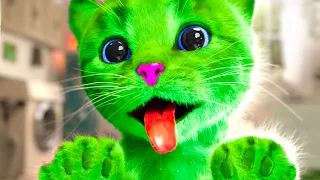 ANIMATED LITTLE KITTEN ADVENTURE LONG SPECIAL - GREEN CAT AND FUNNY PET CARE
