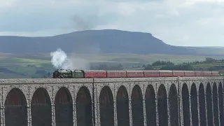 UK Mainline & Heritage Steam Review 2020