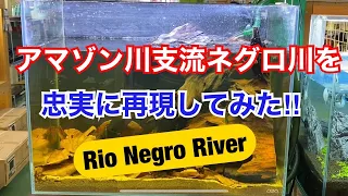 南米アマゾン川の支流、奇跡の川ネグロ川を忠実に再現してみた。Rio Negro River! ブラックウォーター