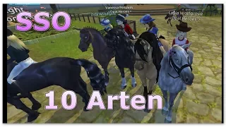 10 Arten von Star Stable Spielern