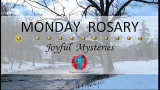 Monday Rosary • Joyful Mysteries of the Rosary 💙 February 5, 2024 VIRTUAL ROSARY - MEDITATION