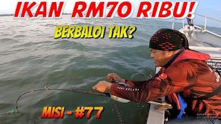 #77 - IKAN RM70K - Berbaloi Ke Tidak?