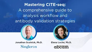 Mastering CITE-seq: A comprehensive guide to analysis workflow and antibody validation strategies