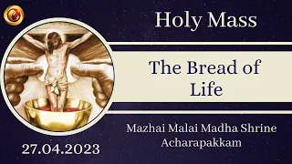 27 April 2023 Holy Mass in Tamil 06:00 AM  | Madha TV