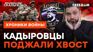 Кадыровцы СБЕЖАЛИ из Бахмута на "голосование"! Солдаты РФ УМОЛЯЮТ прикрыть Ж*ПЫ @skalpel_ictv