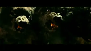 Hercules [2014] - Wolves screen time