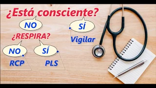 Primeros auxilios | Conducta PAS 1/5.