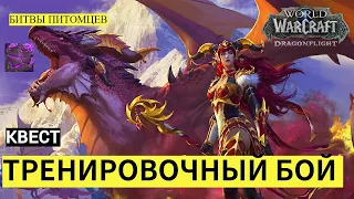 Квест ТРЕНИРОВОЧНЫЙ БОЙ | БИТВЫ ПИТОМЦЕВ | Dragonflight: World of Warcraft