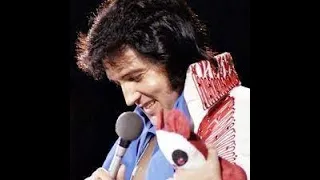 Elvis Presley Hit Song: " The Wonder Of You," Sung In Tribute By John Paul Carinci