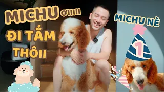 MICHU ĐÂY NÈ !!! - Tắm rửa là hoạt động gắn kết gia đình .. - Kinh nghiệm tắm chó to // Dinology