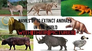 Names of 10 Extinct/Endangered Species in the world with Pictures ||General knowledge|EDU4LEARNERS