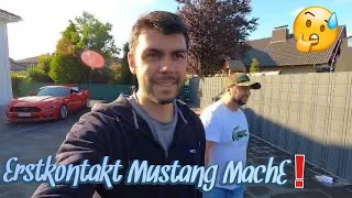 Erstkontakt / Erstes mal Mustang MachE / Echtes Gespräch unter Mustang Liebhabern 🙈TEIL 1