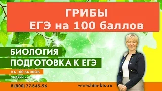 Царство Грибы. Подготовка к ЕГЭ и ОГЭ по биологии