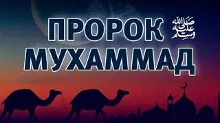 Пророк Мухаммад ﷺ Любимец Всевышнего 6