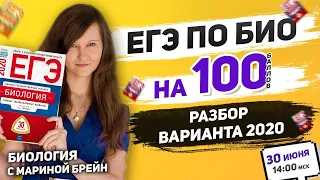 ВАРИАНТ ЕГЭ ПО БИОЛОГИИ 2020 РАЗБОР