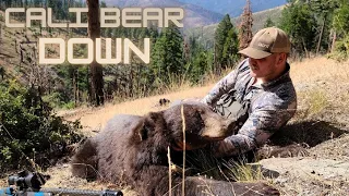 Cali Bear Down