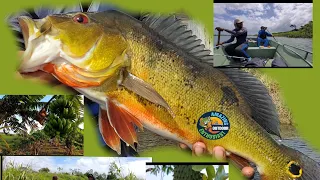 Best Amazon Fishing in Suriname 2024 | Fishing for  Monster Fish | Traveling from 🇨🇦 to 🇬🇾 to 🇸🇷