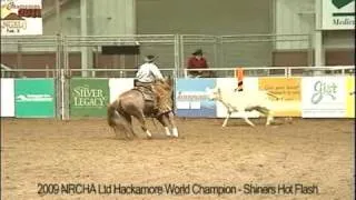 2009 Shiners Hot Flash NRCHA World Show Prelim's Go